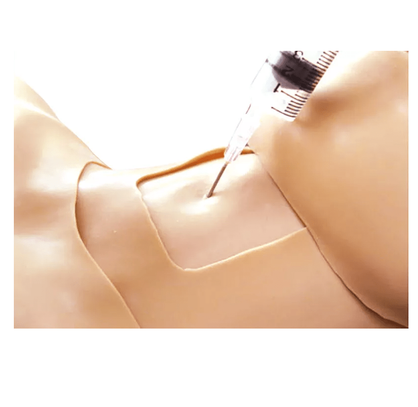 Thorax - Trauma - Trainer - Erler - Zimmer