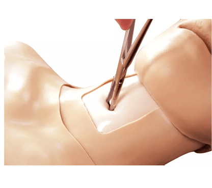 Thorax - Trauma - Trainer - Erler - Zimmer