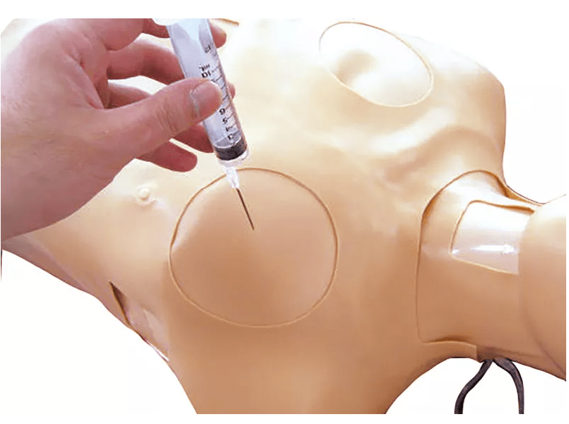 Thorax - Trauma - Trainer - Erler - Zimmer