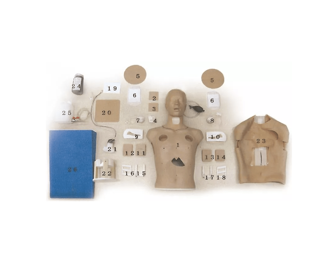 Hautüberzug für Perikardiozentese für LM93 - Erler - Zimmer