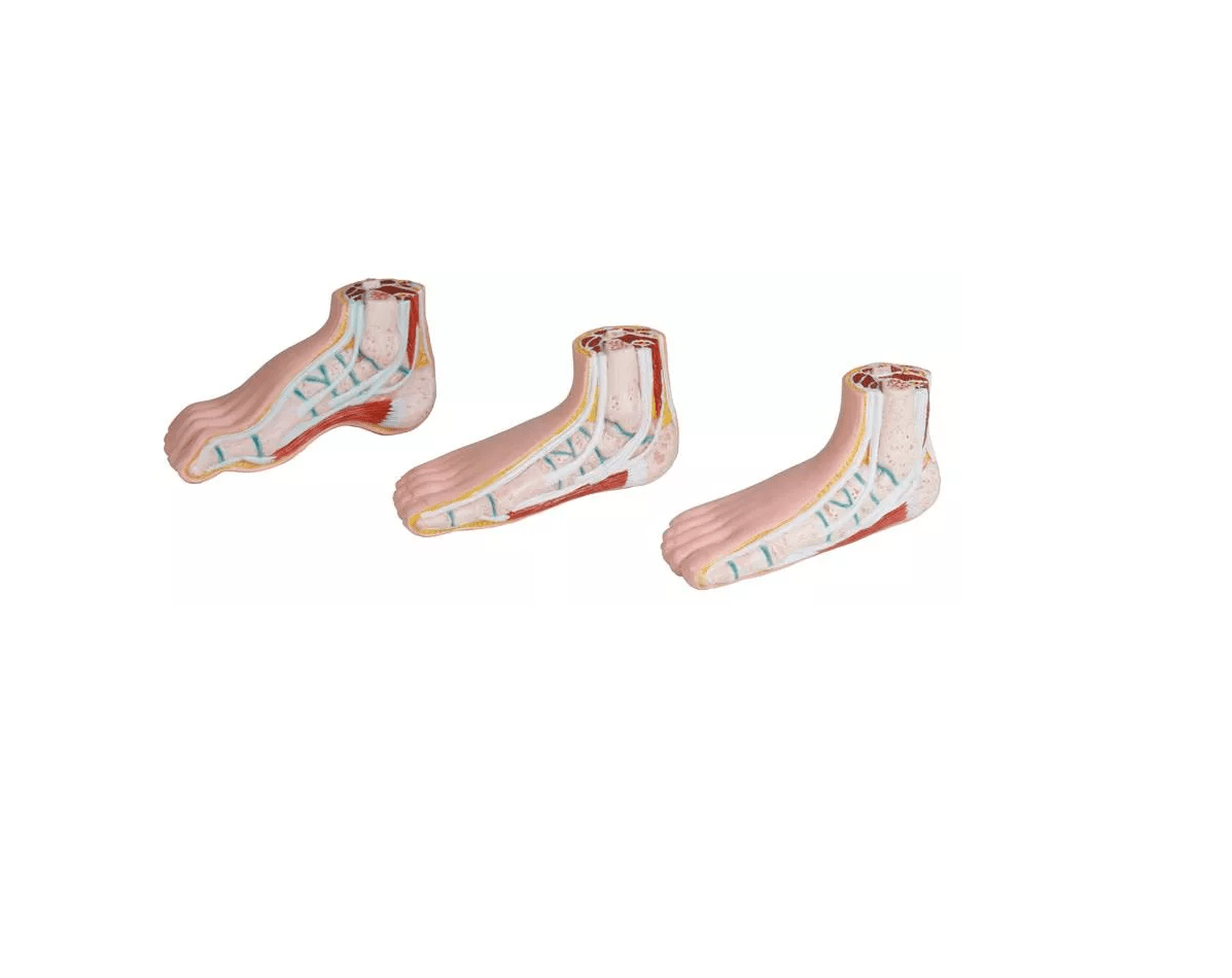 Miniatur - Fußset - Erler - Zimmer