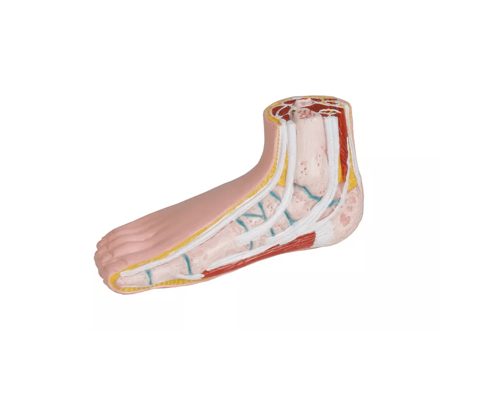 Miniatur - Fußset - Erler - Zimmer