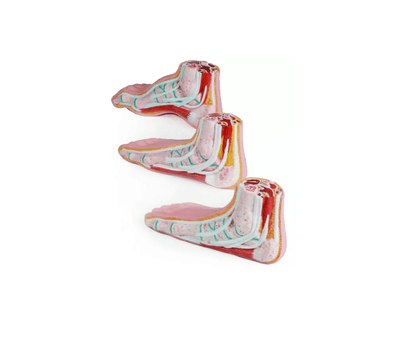 Miniatur - Fußset - Erler - Zimmer