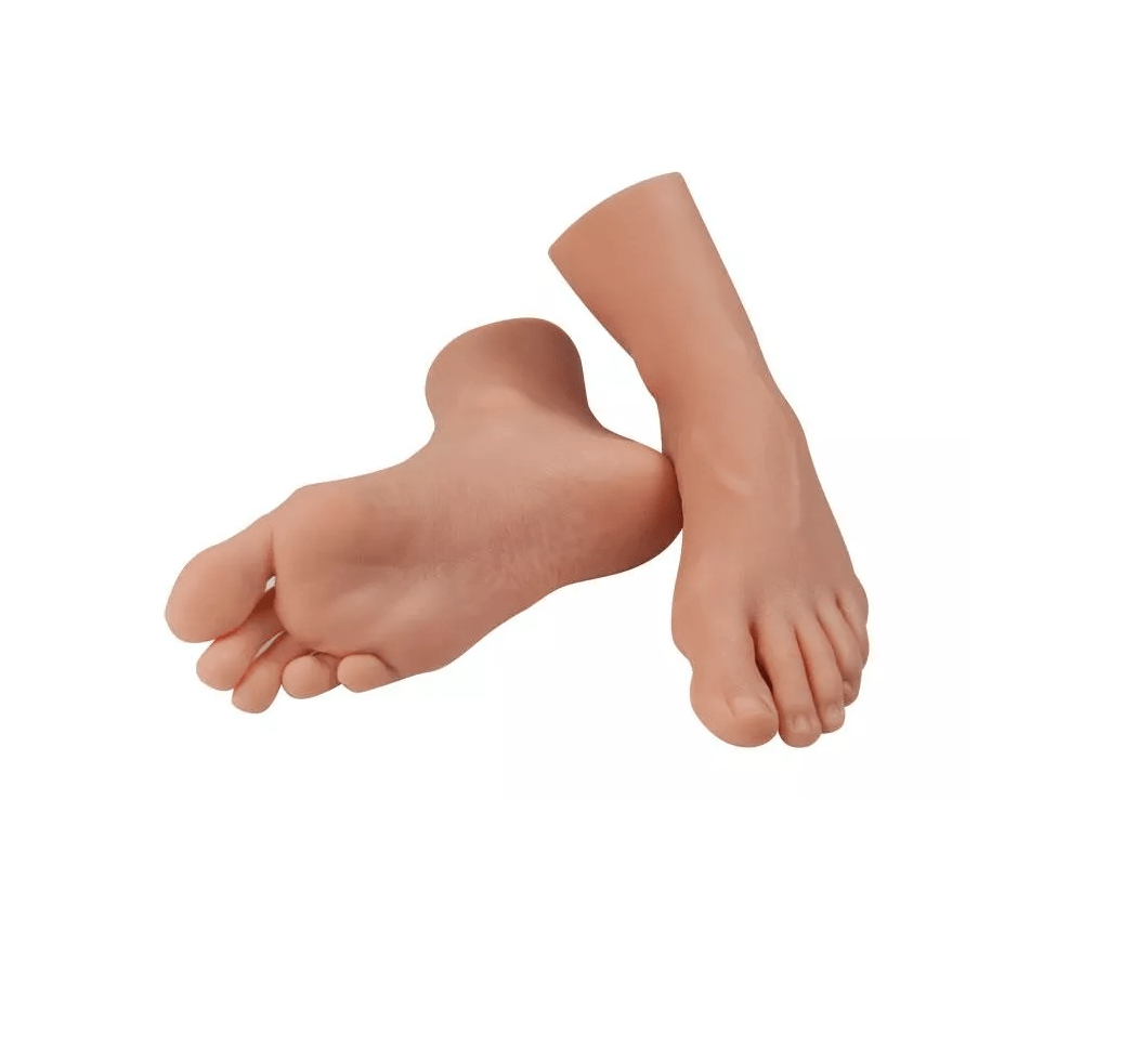 Fußrepliken für Pflegeübungen - Erler - Zimmer