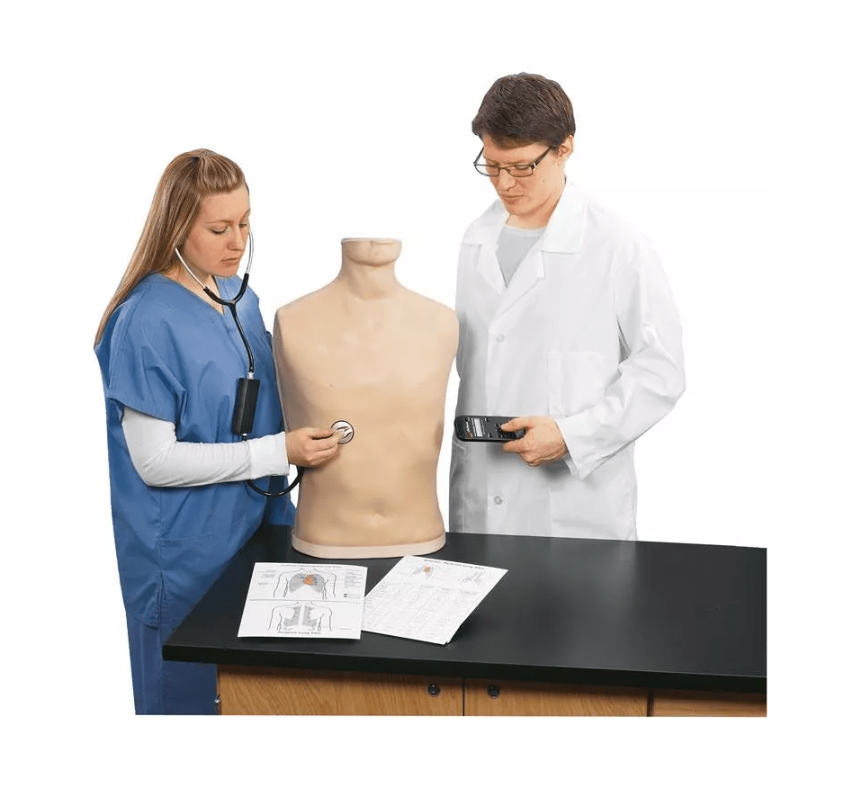 Auskultations - Simulator - Erler - Zimmer