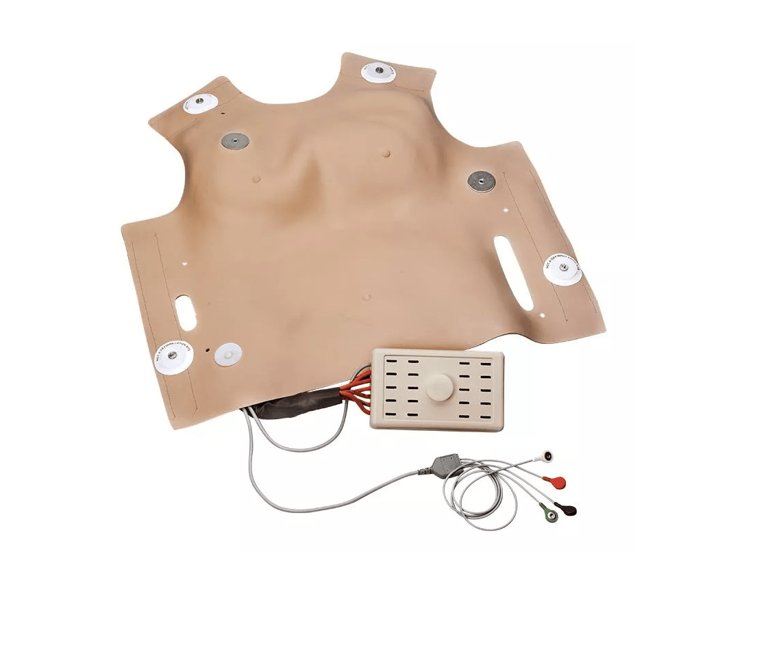 Brustkorbhaut zum Defibrillieren für R10052 - Erler - Zimmer