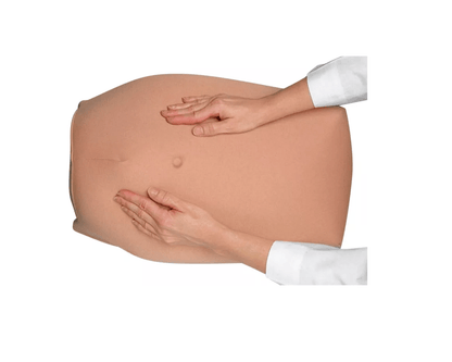 Modellset abdominale Palpation - Erler - Zimmer