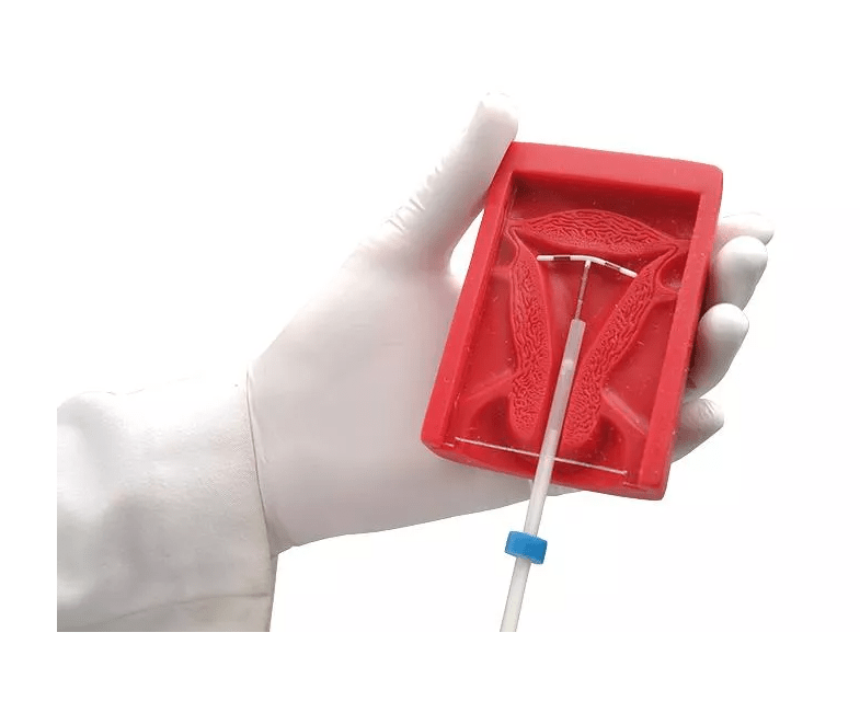 IUP - Übungsmodell - Erler - Zimmer