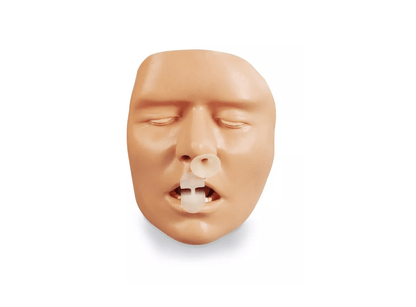 Supgraglottische Atemwegshilfen Trainer Erwachsener - Erler - Zimmer