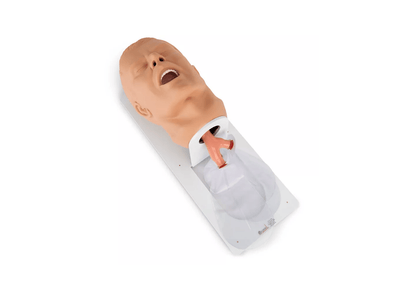 Erwachsenen – Intubationstrainer “Economy” auf Grundplatte - Erler - Zimmer