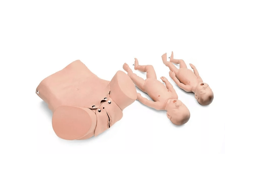 Geburtssimulator Zange/Saugglocke - Erler - Zimmer