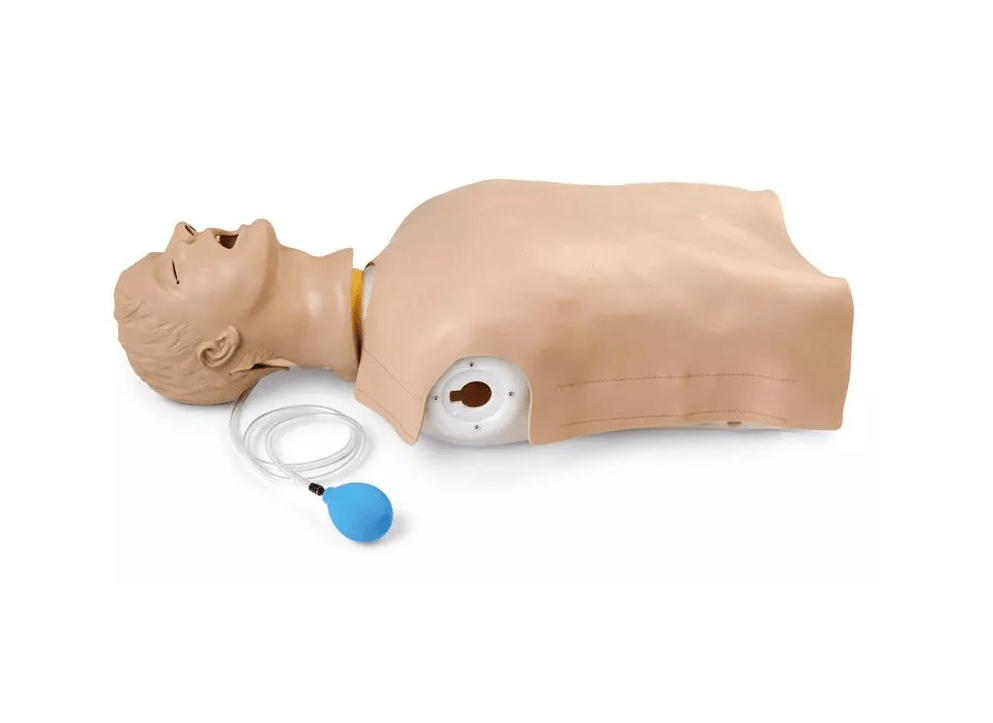 Airway Larry Erwachsenen - Airway Management Trainer Torso - Erler - Zimmer