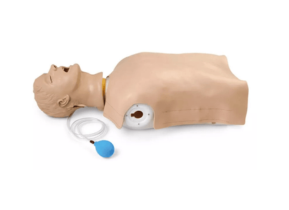 Airway Larry Erwachsenen - Airway Management Trainer Torso - Erler - Zimmer