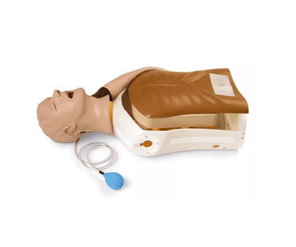 Airway Larry Erwachsenen - Airway Management Trainer Torso - Erler - Zimmer