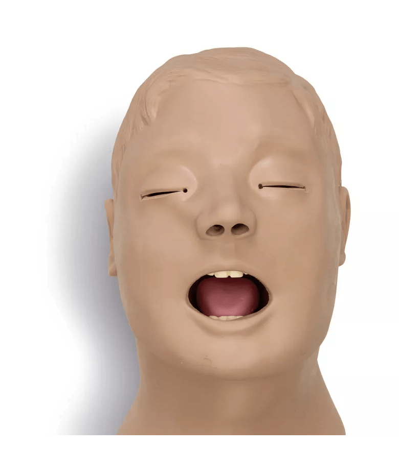 Airway Larry Erwachsenen - Airway Management Trainer Torso - Erler - Zimmer