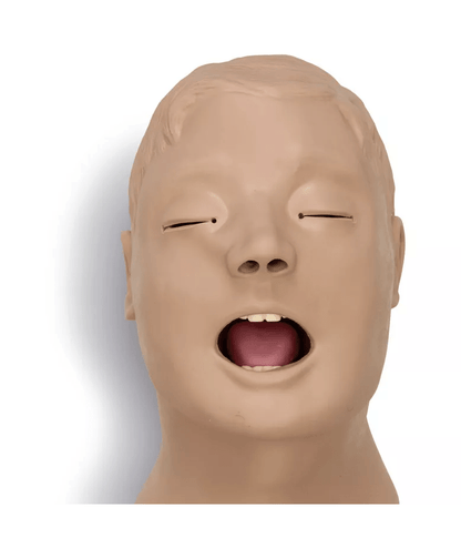 Airway Larry Erwachsenen - Airway Management Trainer Torso - Erler - Zimmer