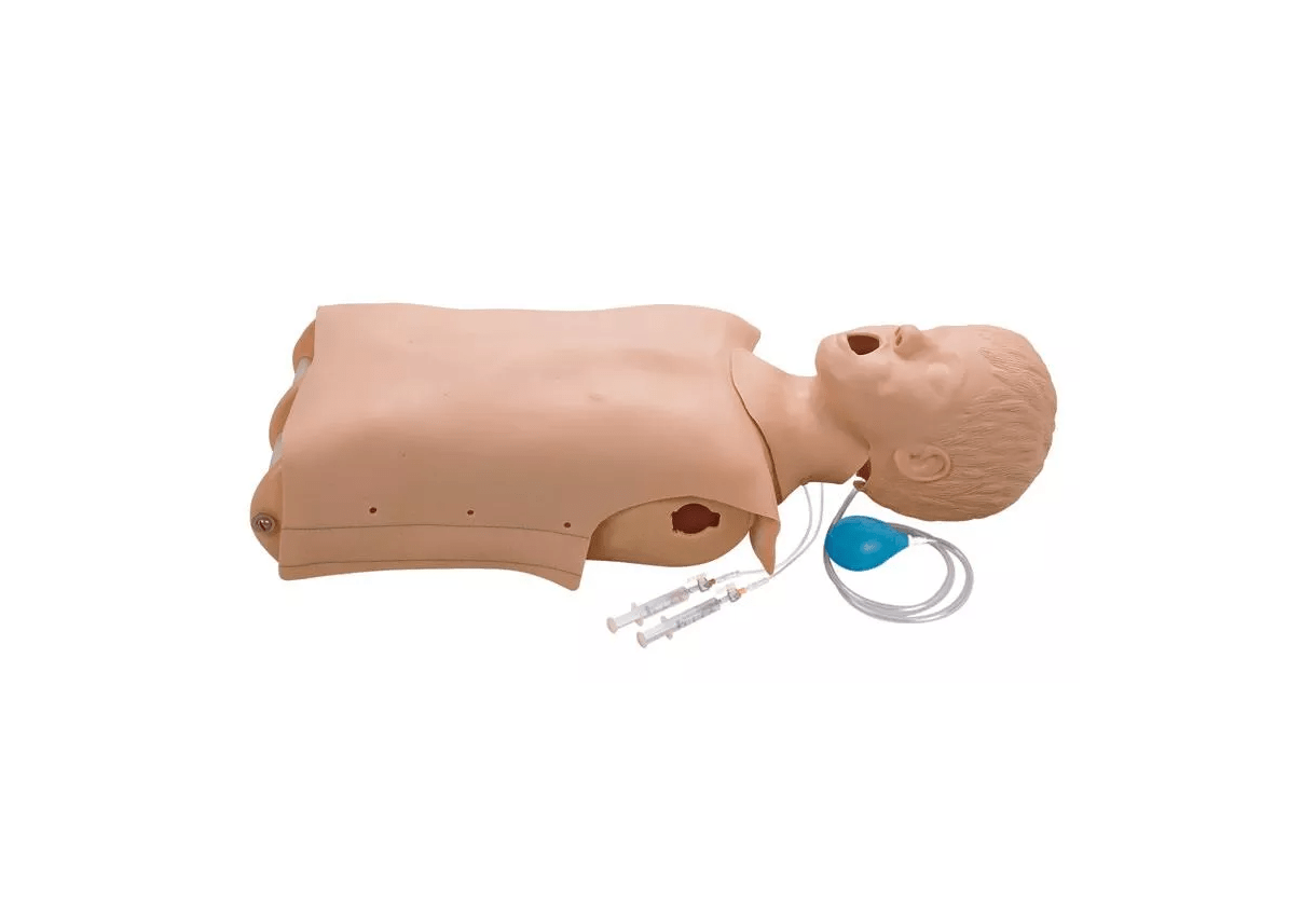 Kinder - HLW - /Airway - Management - Torso - Erler - Zimmer