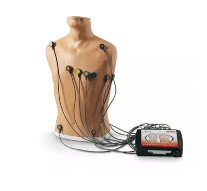 15 - Kanal - EKG - Platzierungstrainer - Erler - Zimmer