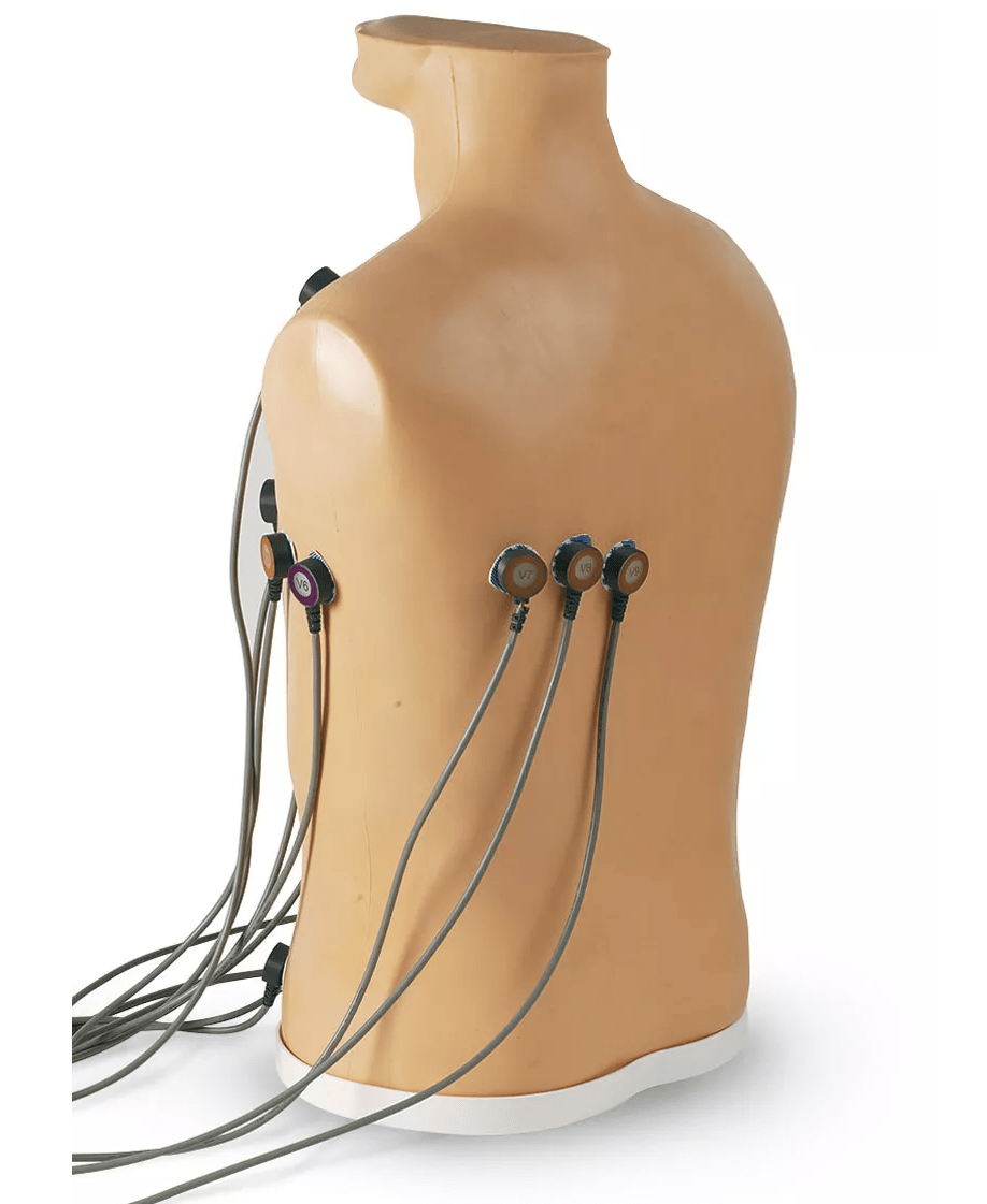 15 - Kanal - EKG - Platzierungstrainer - Erler - Zimmer