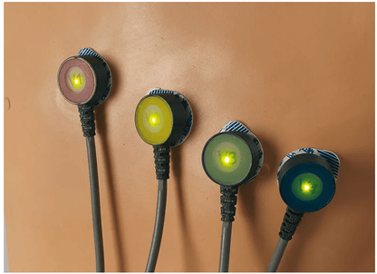 15 - Kanal - EKG - Platzierungstrainer - Erler - Zimmer