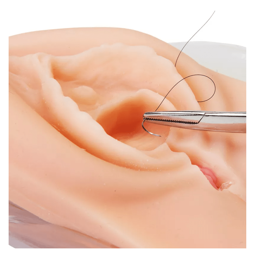 Dammschnitt & Dammriss - Vernähungstrainer - Erler - Zimmer