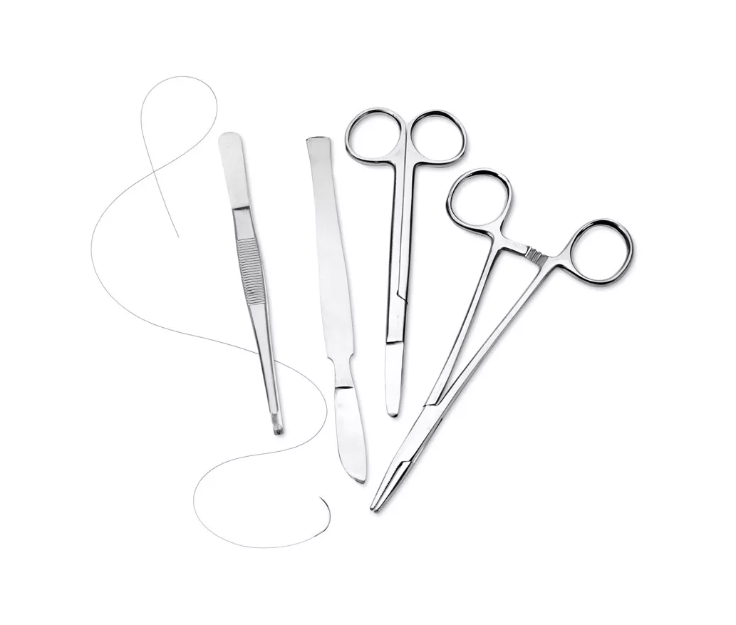 Dammschnitt & Dammriss - Vernähungstrainer - Erler - Zimmer