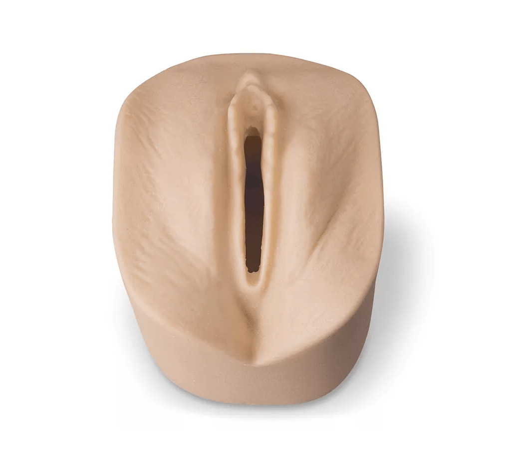 Simulator für zervikale Dilatation und Verstreichen des Muttermundes - Erler - Zimmer