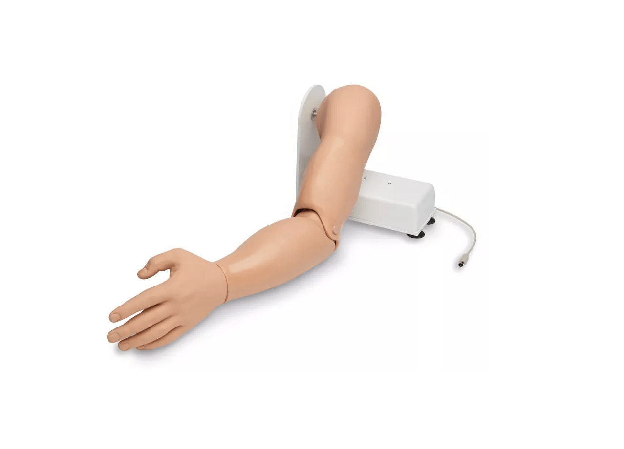 Blutdrucksimulator mit iPod Technologie - Erler - Zimmer