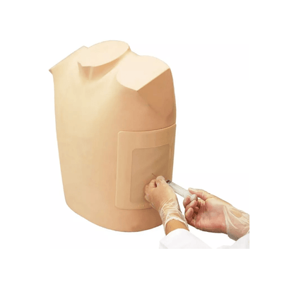 Simulator für Ultraschall - gestützte Thorakozentese - Erler - Zimmer