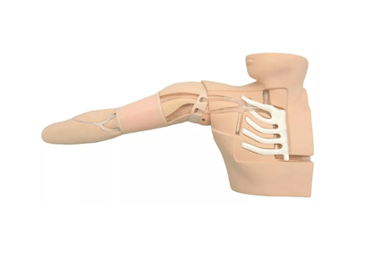 PICC Training Simulator, ultraschallfähig - Erler - Zimmer