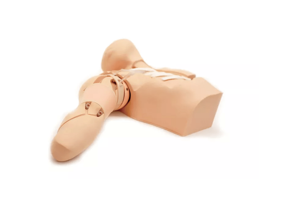 PICC Training Simulator, ultraschallfähig - Erler - Zimmer