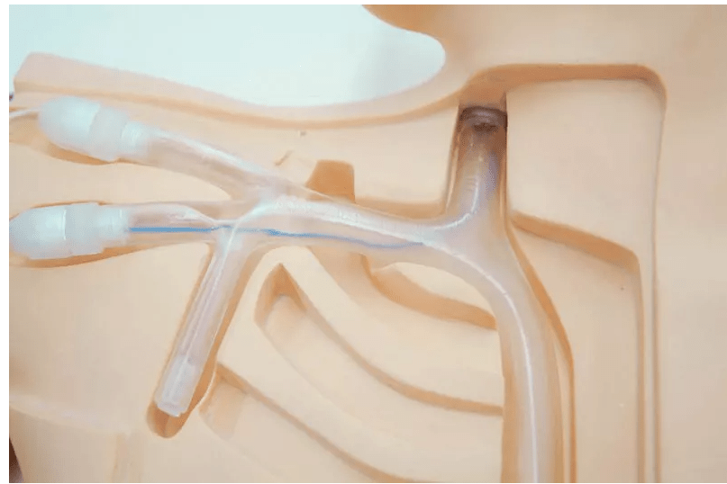 PICC Training Simulator, ultraschallfähig - Erler - Zimmer