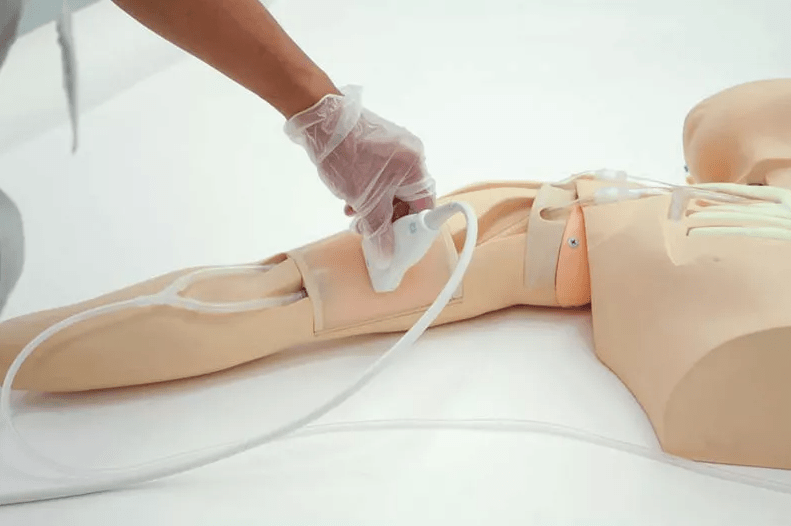 PICC Training Simulator, ultraschallfähig - Erler - Zimmer