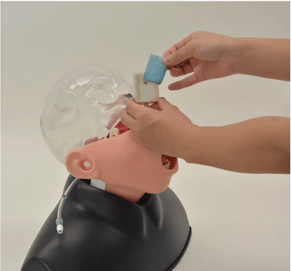 Nasopharyngealer Abstrichsimulator - Erler - Zimmer