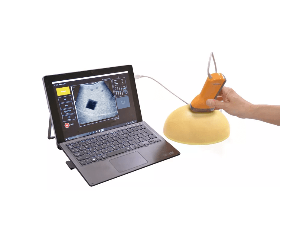 Grundlegendes Ultraschallphantom - Erler - Zimmer