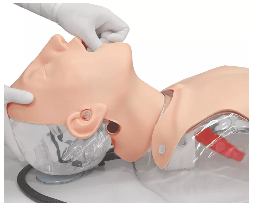 Simulator schwieriges Atemwegsmanagement - Erler - Zimmer