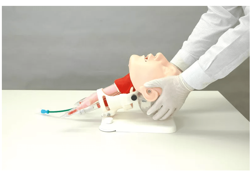 Demonstrationsmodell schwieriges Atemwegsmanagement - Erler - Zimmer