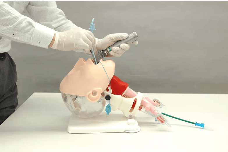 Demonstrationsmodell schwieriges Atemwegsmanagement - Erler - Zimmer