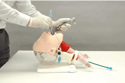 Demonstrationsmodell schwieriges Atemwegsmanagement - Erler - Zimmer