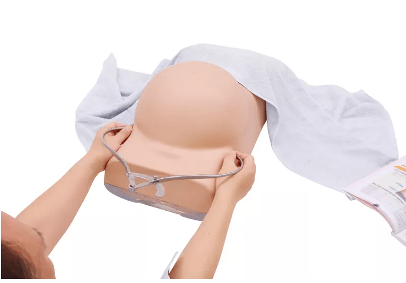 Schwangerschafts - Untersuchungs - Simulator - Erler - Zimmer