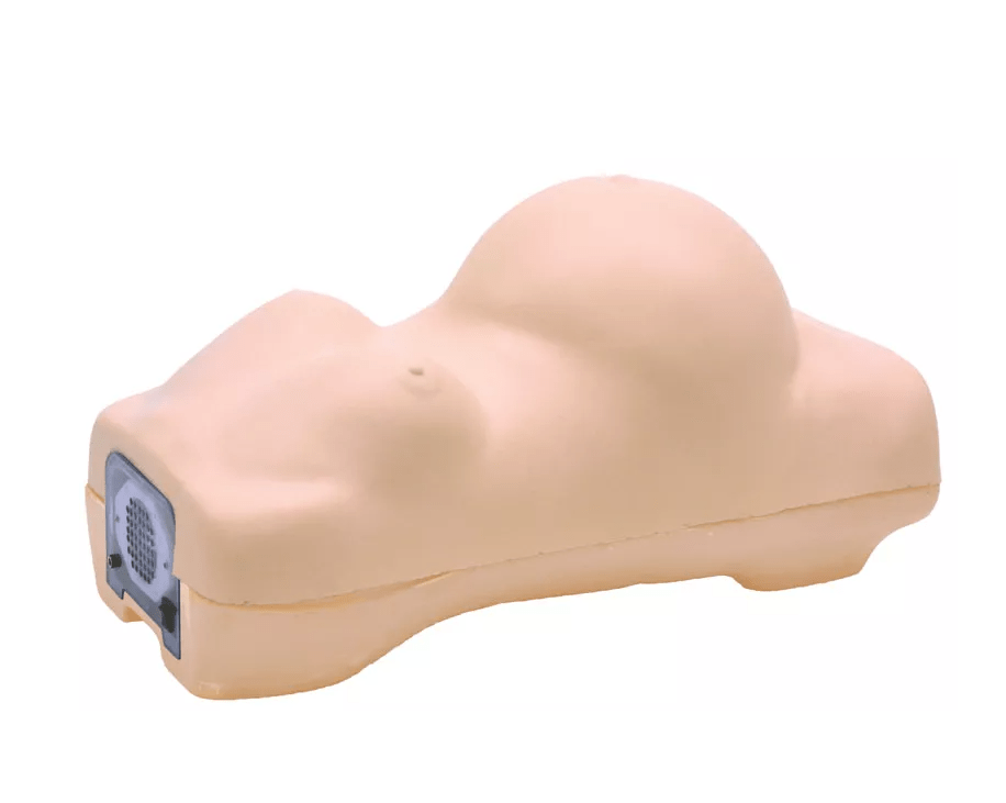 Schwangerschafts - Untersuchungs - Simulator - Erler - Zimmer