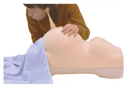 Schwangerschafts - Untersuchungs - Simulator - Erler - Zimmer