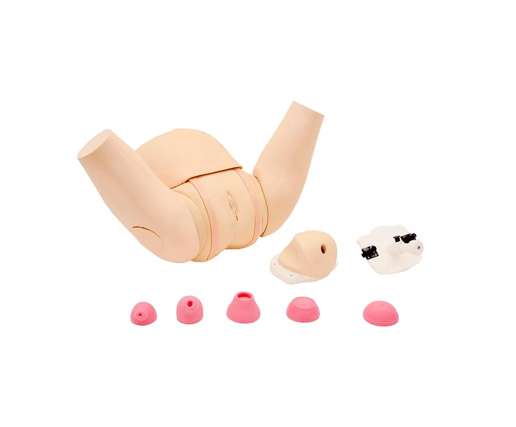 Muttermund - Untersuchungs - Simulator - Erler - Zimmer