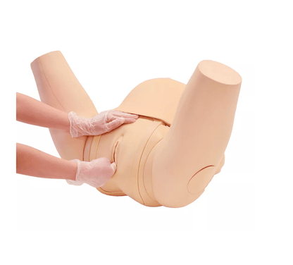 Muttermund - Untersuchungs - Simulator - Erler - Zimmer