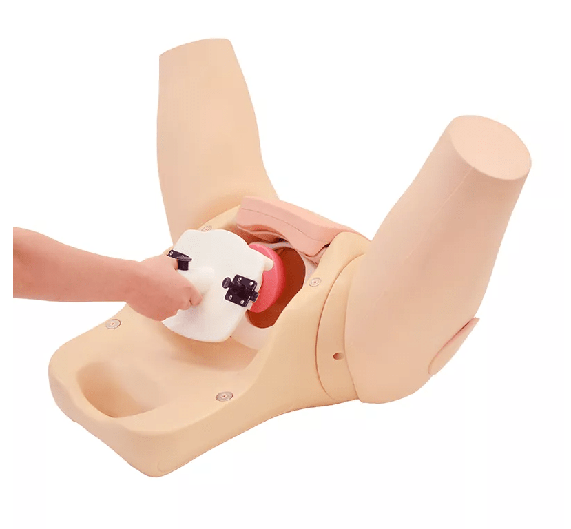 Muttermund - Untersuchungs - Simulator - Erler - Zimmer