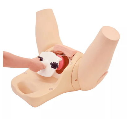 Muttermund - Untersuchungs - Simulator - Erler - Zimmer