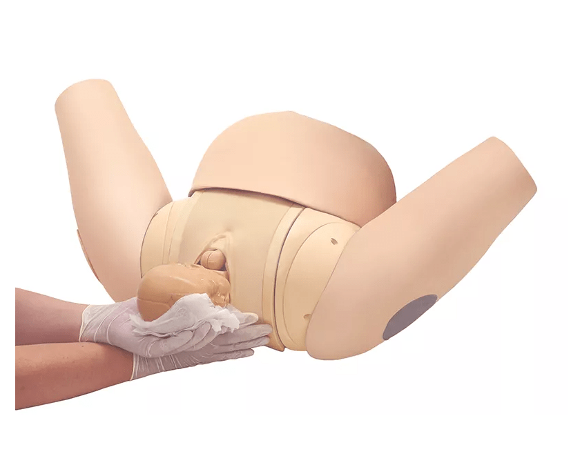 Geburtshilfe - Simulator - Erler - Zimmer