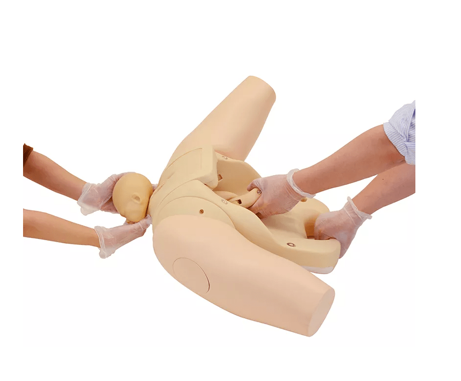 Geburtshilfe - Simulator - Erler - Zimmer