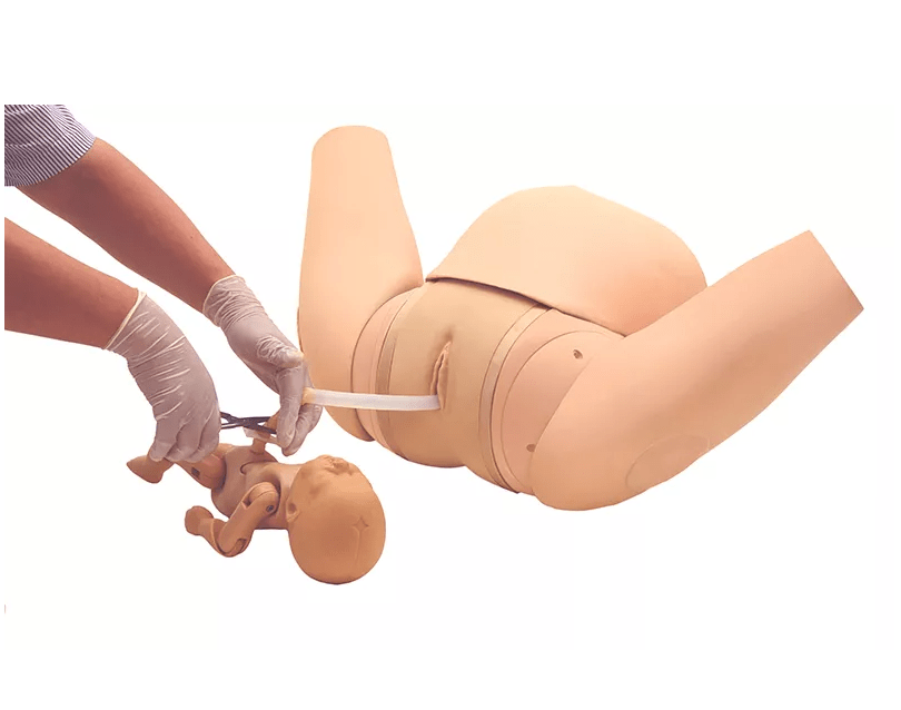 Geburtshilfe - Simulator - Erler - Zimmer