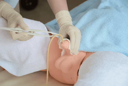 Männliches Genital für R16228 - Erler - Zimmer